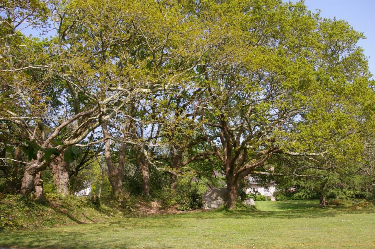 Domaine Les Grandes Roches Bed & Breakfast Trégunc Dış mekan fotoğraf