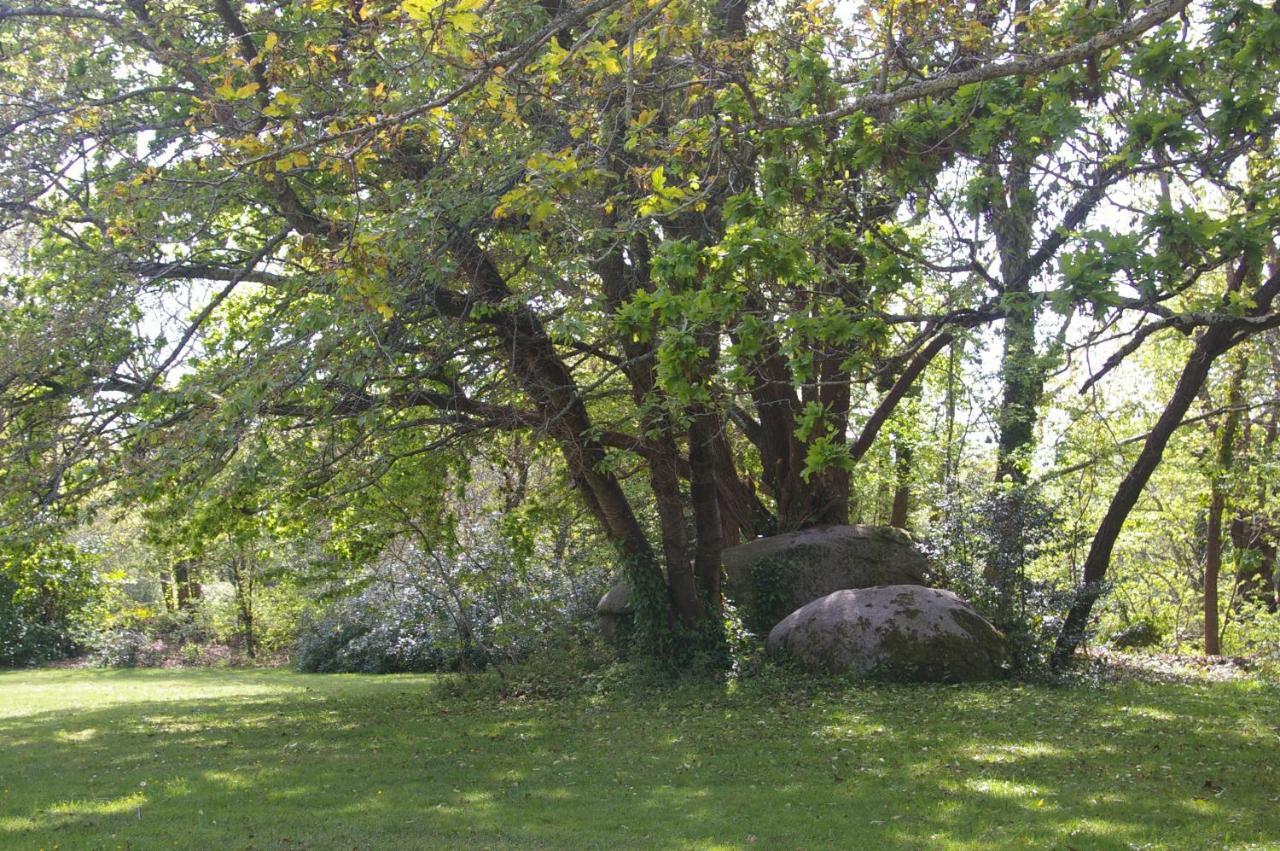 Domaine Les Grandes Roches Bed & Breakfast Trégunc Dış mekan fotoğraf